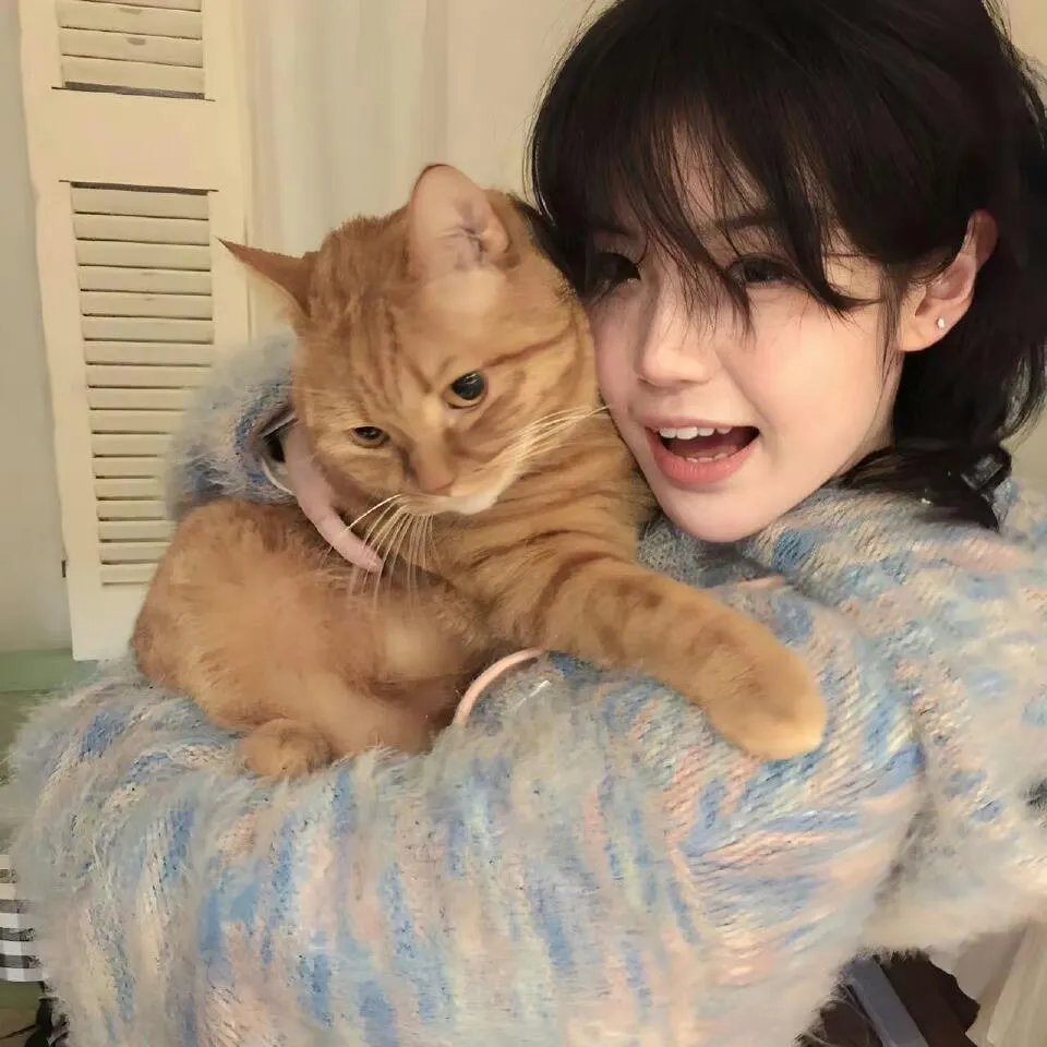 蛇与彩虹